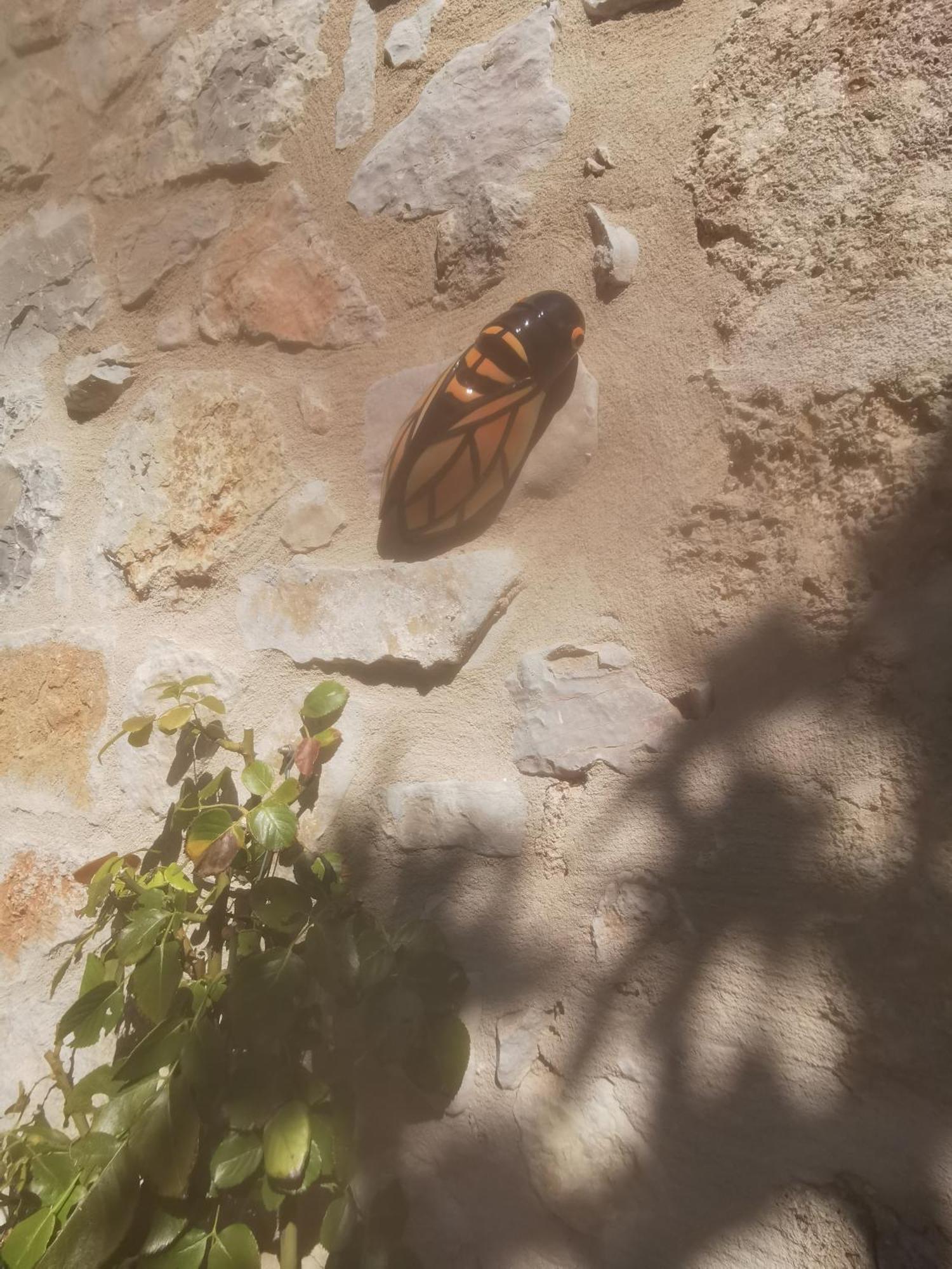 شقة Jas De Marripey Les Arcs-sur-Argens المظهر الخارجي الصورة